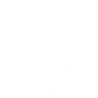medal